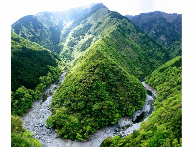祖谷渓谷(ひの字渓谷、新緑)