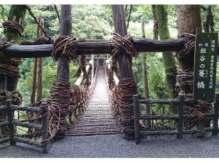 祖谷のかずら橋(日本三奇橋)