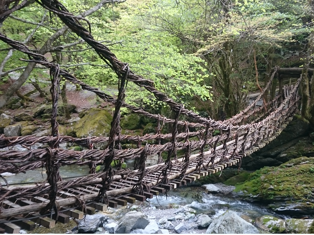 【観光タクシー】奥祖谷二重かずら橋と祖谷 秘境めぐり〈6時間コース〉