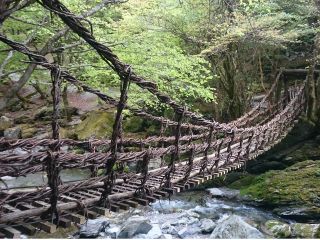 奥祖谷二重かずら橋(女橋)