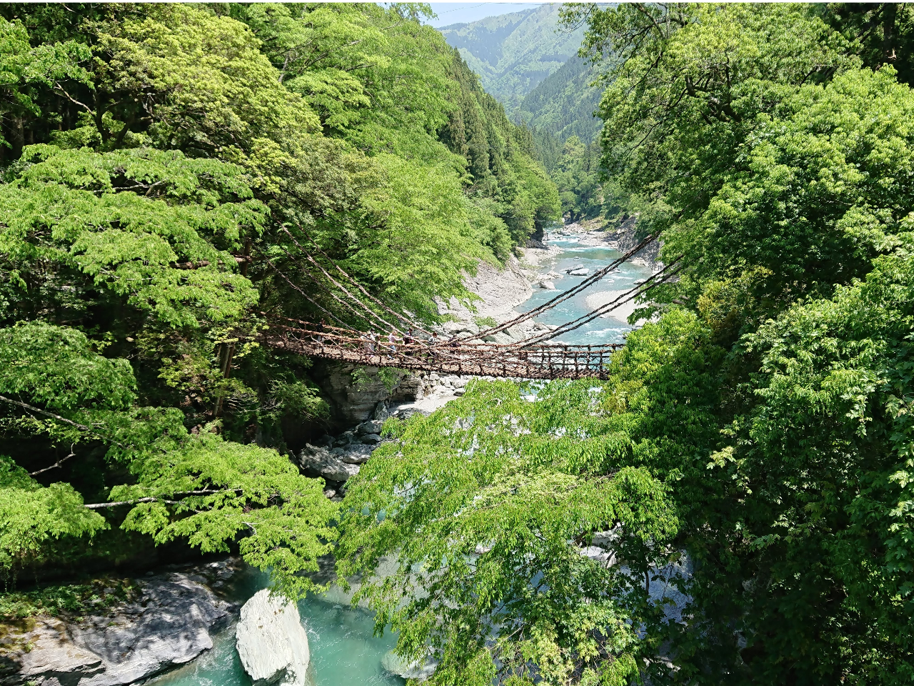 祖谷のかずら橋(日本三奇橋)