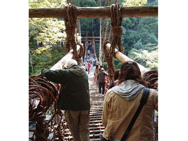 祖谷のかずら橋(全長約45m)