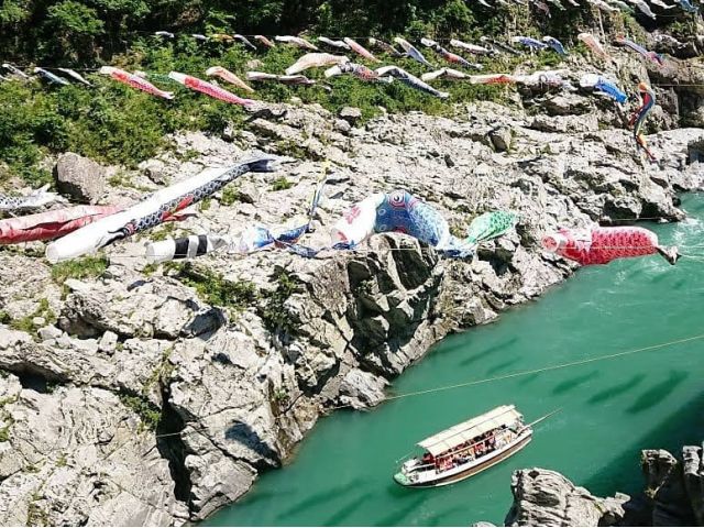 大歩危峡観光遊覧船(5月)