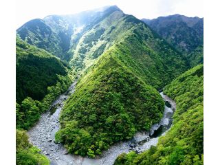 祖谷渓谷(ひの字渓谷、新緑)