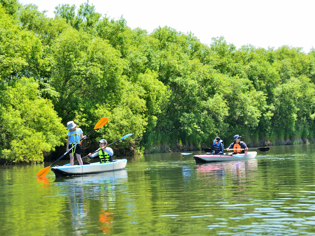 hbvXeb`\̑D̂̃JbNł΁Aオ邱Ƃł܂B