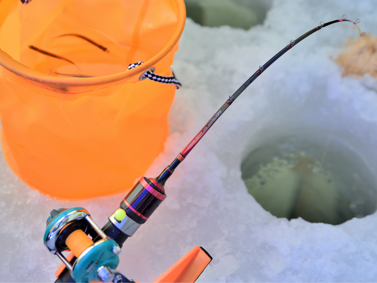 ̃JTMނ̐nEVrɉ1vłB񂾐ƒނ育̂ꏊŃ`W܂񂩁H