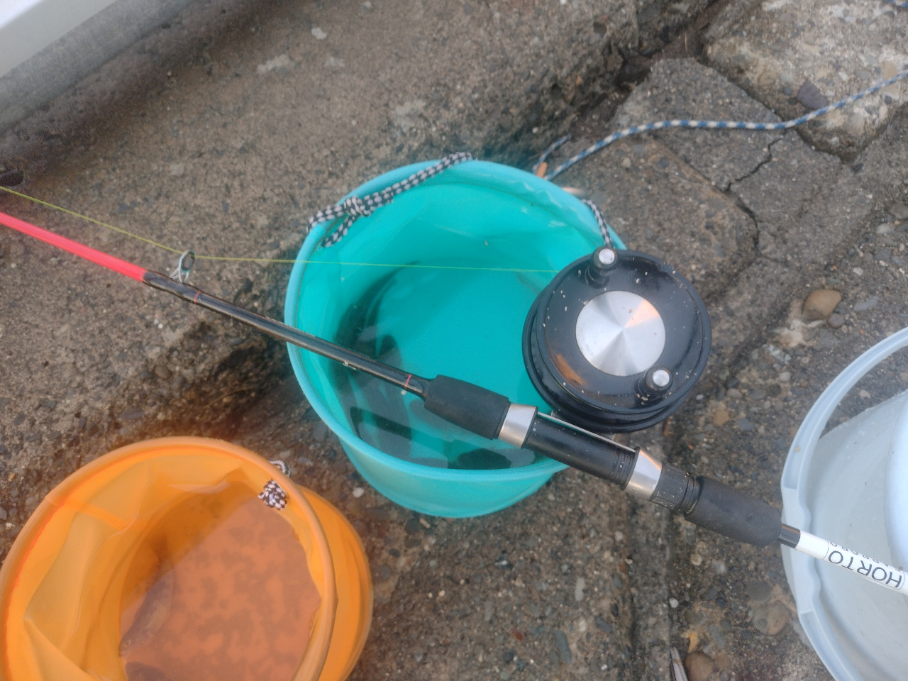 ヘチ釣りやサビキ釣りなど、コンディションや楽しみ方、ガイドのおススメ方法で釣りを楽しみます。