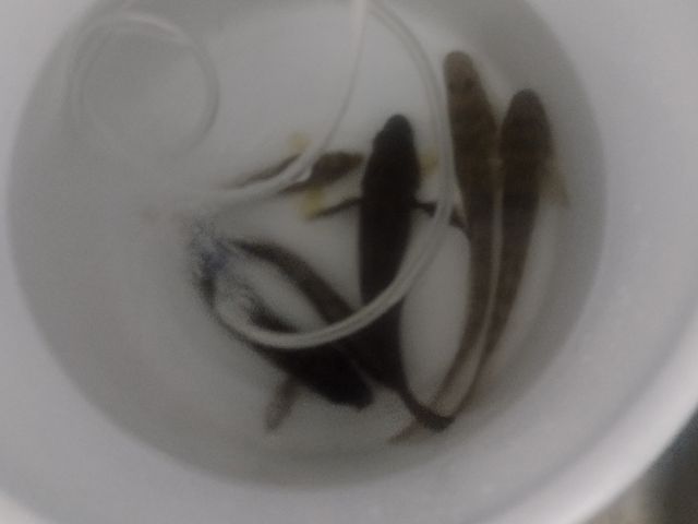 季節に応じた釣果に期待!!