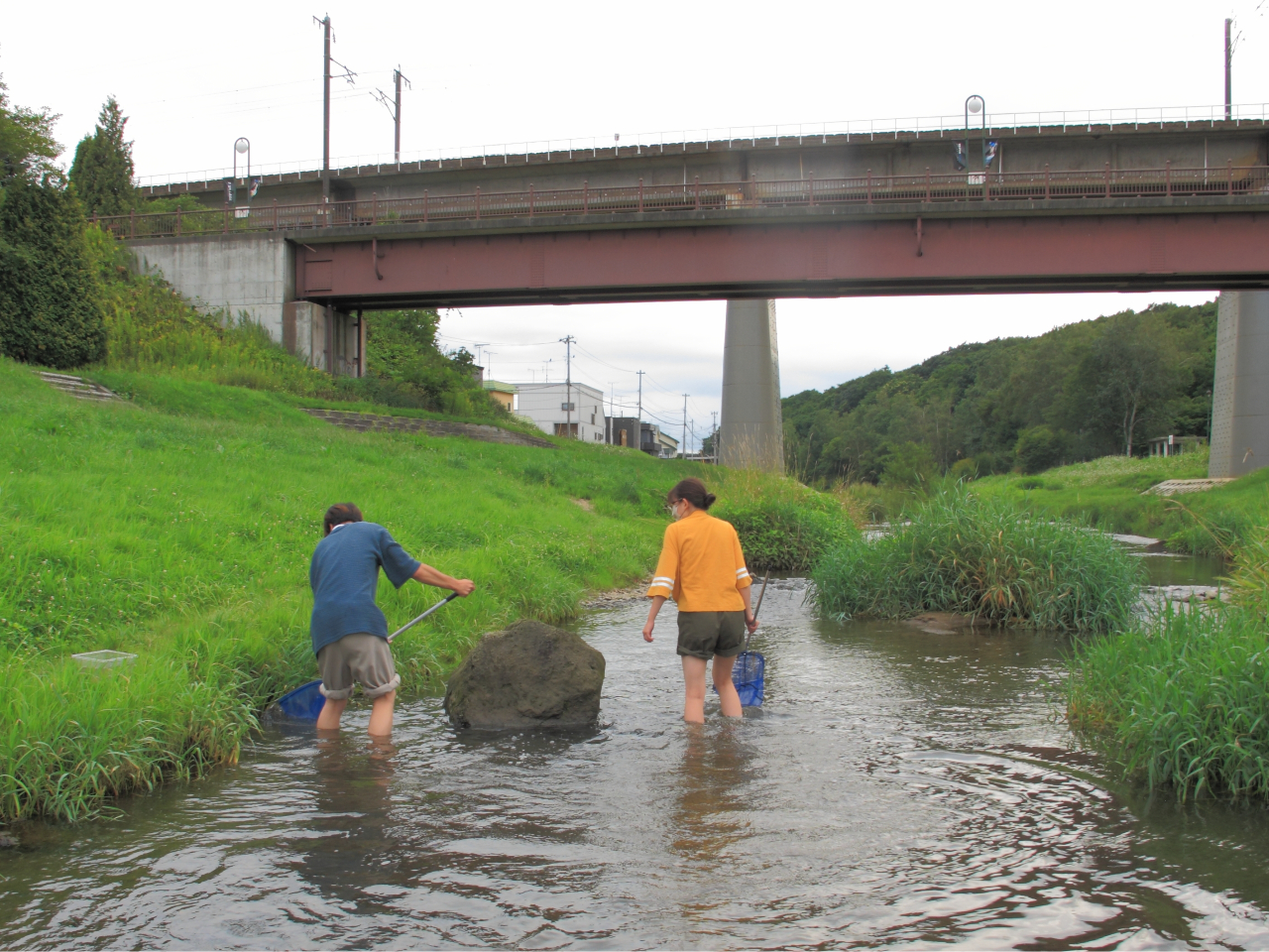 エスコンフィールド北海道が近くで、最寄り駅からすぐ渡る橋を流れる輪厚川でのガサガサ体験です。