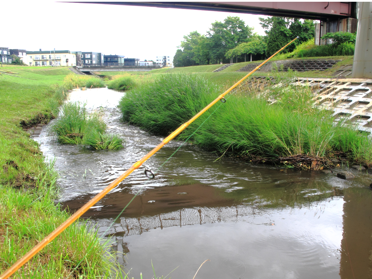 i֌jł̌\łBGXRtB[h֍slɌȂył݂܂傤BiKTKŤōsĂ܂j