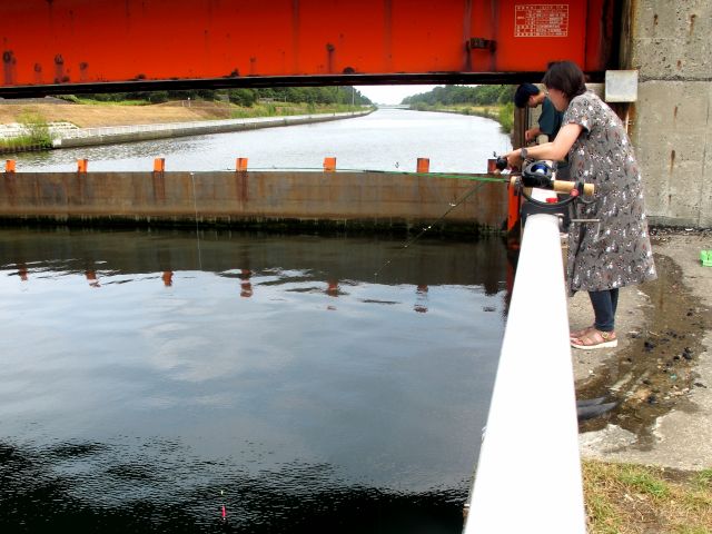 とにかくヘチに落としてみて、何が釣れるか試してみましょう。