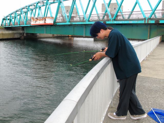 ポイントのひとつ、望洋橋は水深が非常に浅いので魚の動きが水面から見えます。