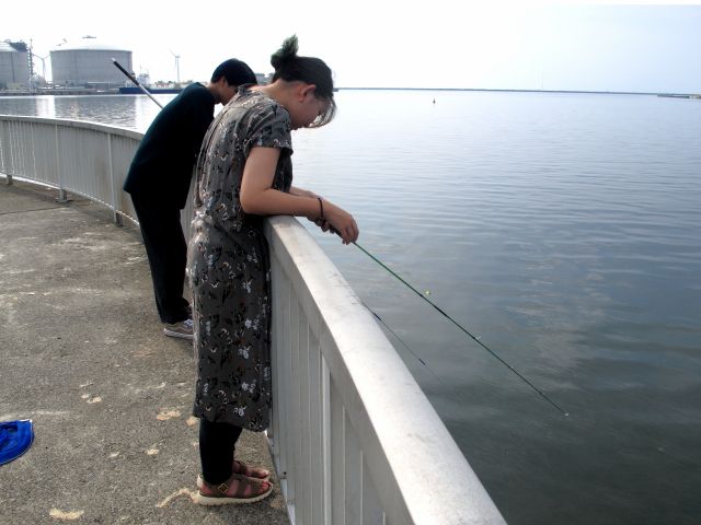 サビキ仕掛けを使って、小さなカレイなどを釣ることもできます。