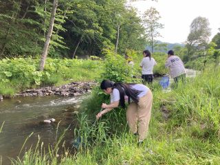 みんなでガサガサ。(6月上旬)