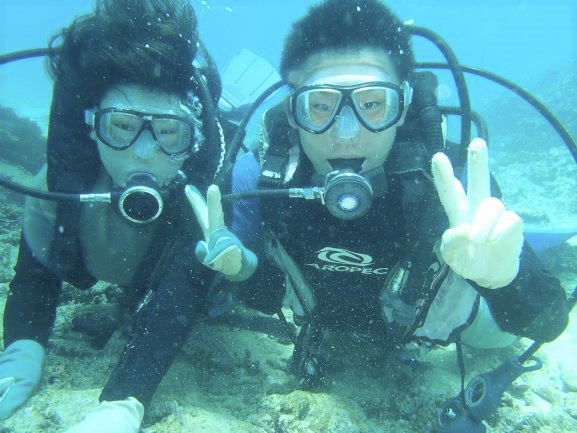 ドルフィンループの最新写真
