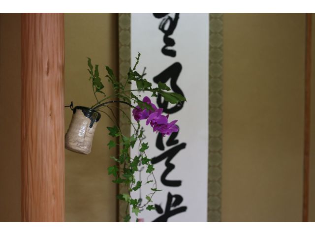 お茶席のようす静かに過ごすひとときも良いと思います