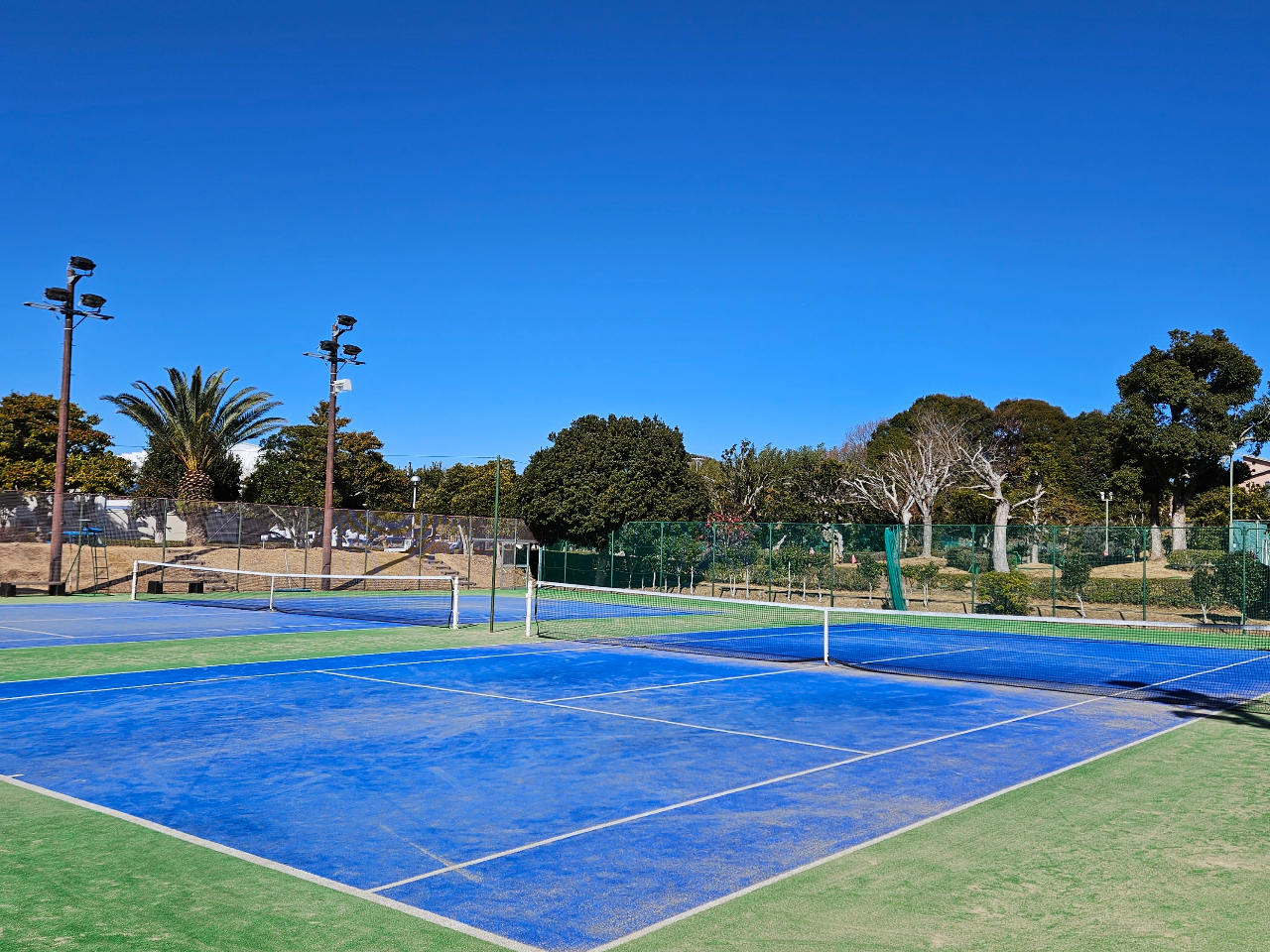 オムニコート12面