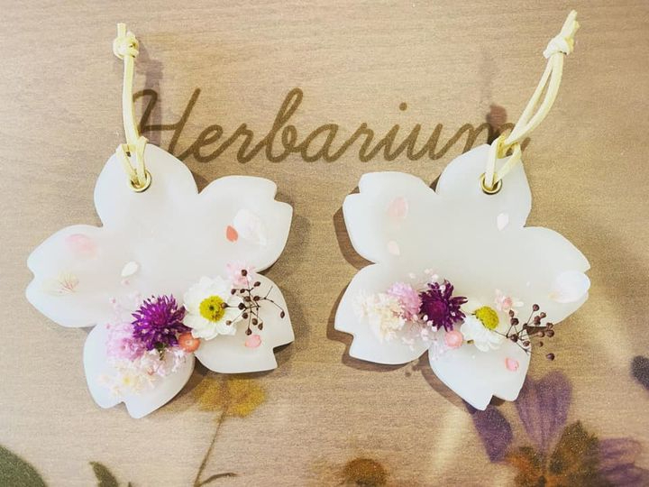 A}bNXTVF@DȌ^iAԁACJAȂǁjƂDȃA}ICŉ΂𓔂ȂCeÃTVFł܂