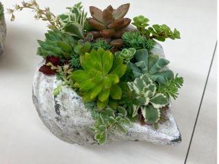 福島県会津若松市のクレアガーデンです。 株式会社クレア住宅設計工房のショールーム兼ガーデニング雑貨店としてクラフト体験も開催しております。