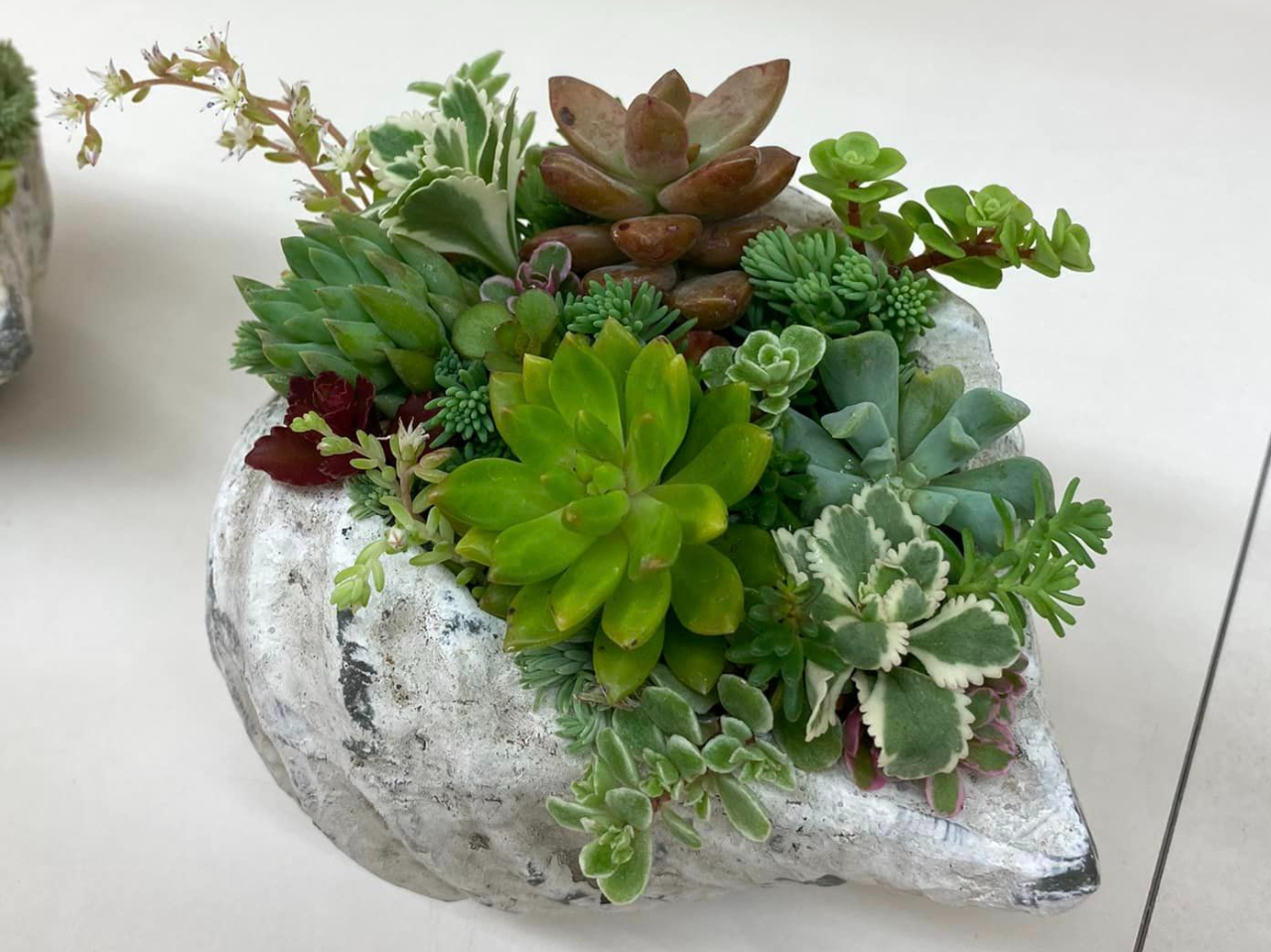 VFiL̃|bgjɃZ_ƃGPxAイイɊ񂹐A܂BƂĂ킢łI