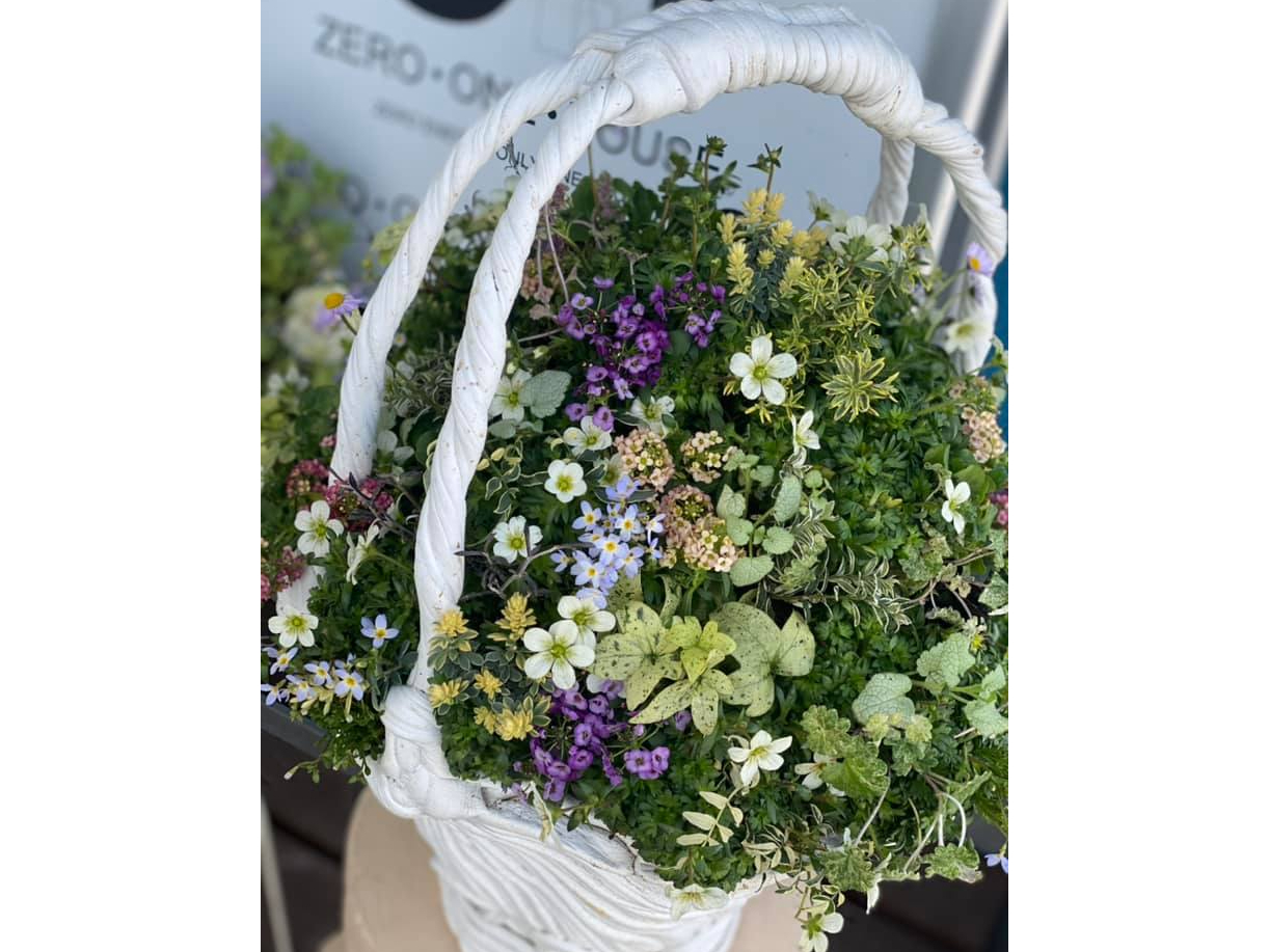 ������̓}�E���g�X�^�C���̃M���U�����O�ł��B���R�̂悤�ɂ��Ԃ�ςݏグ�Ă����܂��B�ԍނ������Ղ�g���܂��A���������Q�̑��ł��I���l�i�͔���ʂ�15.000�`