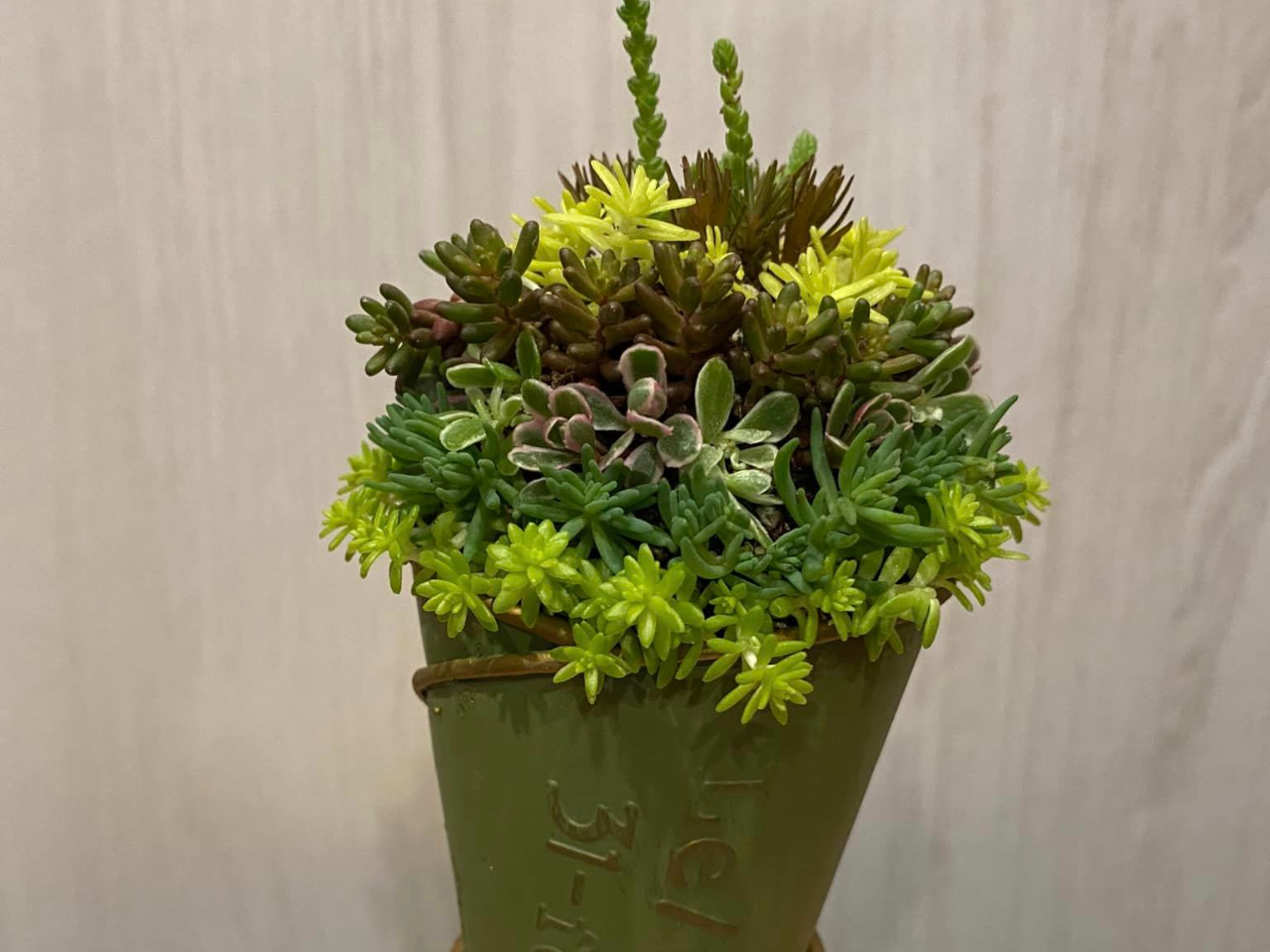 �A�C�X�N���[���̃R�[���݂����ɃZ�_���̊񂹐A���B�l���\���Ƃ����ł܂�y���g���܂��B