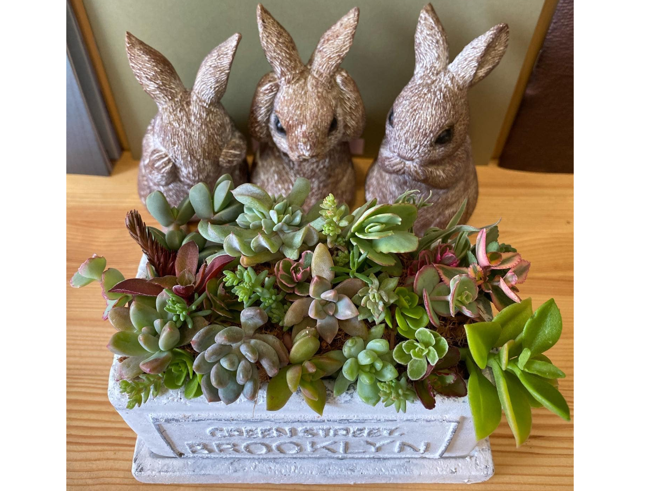 �I�V�����Ȕ��ɃZ�_����G�P�x���A�����イ���イ�Ɋ񂹐A�����܂��B�i���̓C���[�W�ł��j