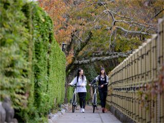 歴史あるあやめ小路
