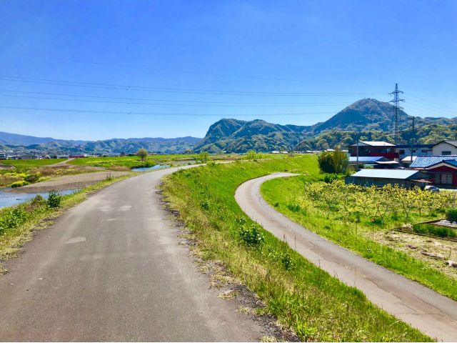 狩野川沿いのサイクリングロード