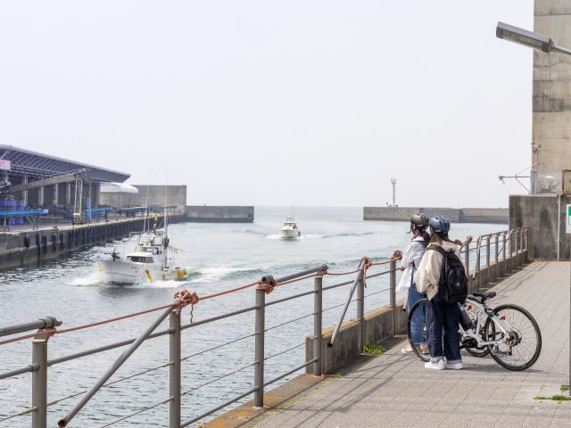 沼津港。美味しい鮮魚が待っています!