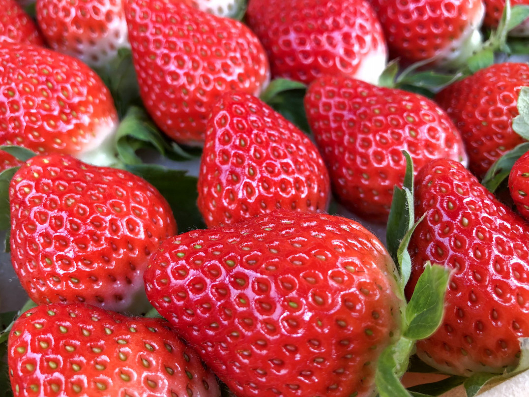 PĊÂ݂Ǝ_̃oXɗDĂ܂BHōłI