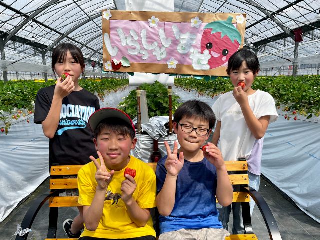 家族みんなで楽しいいちご狩りを( ^ω^ ) 写真撮影のベンチも多くあります。