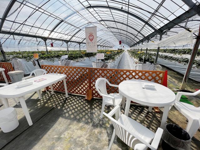 小さなハウス。でも通路幅は広くとってあり、とても開放感があります。かわいい工夫もたくさんです。