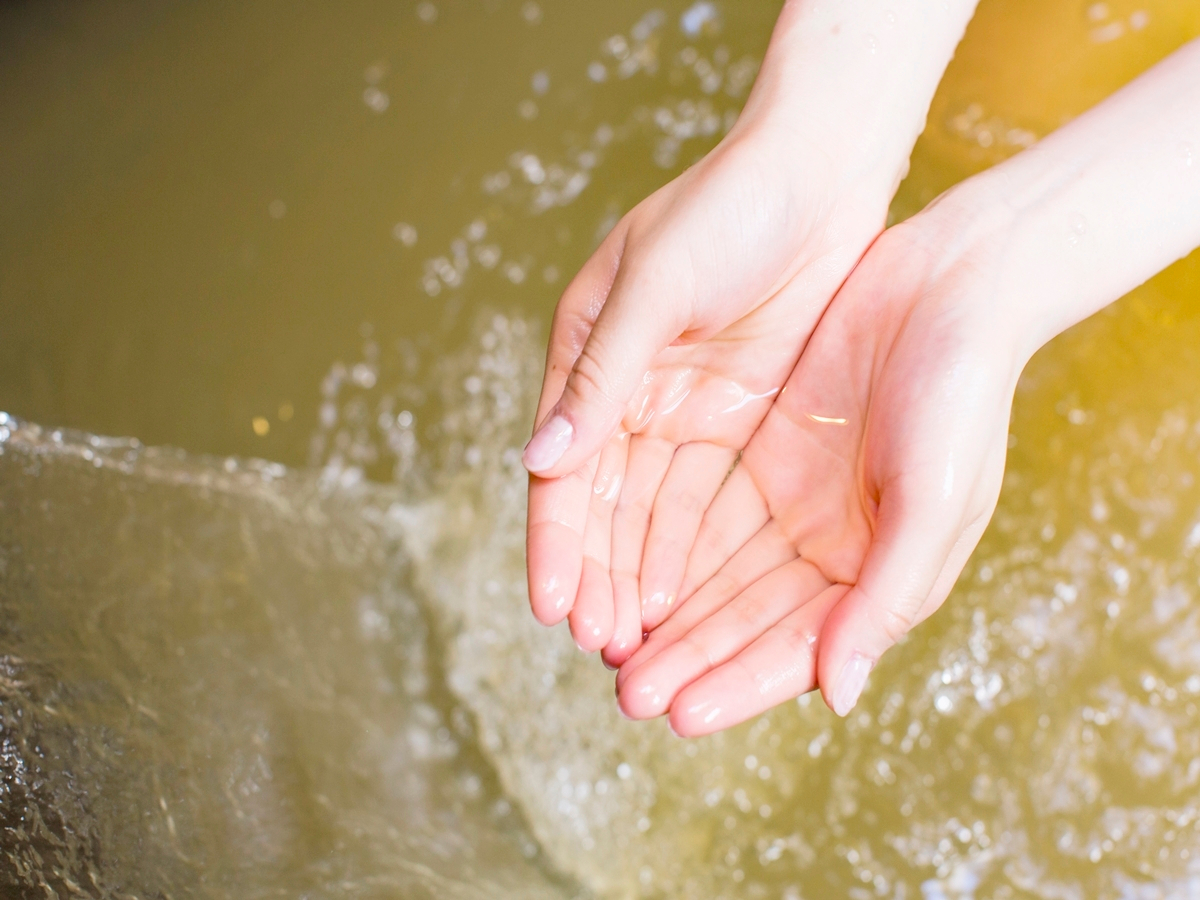 �����ᒣ����z��-�Y�_���f����^�������ʂ����ґ�I�Ȃ߂炩�����ցI