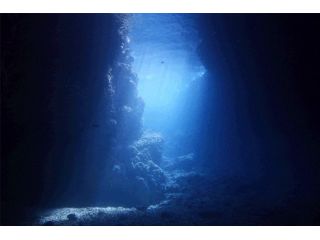 神秘の青の洞窟へダイビング!