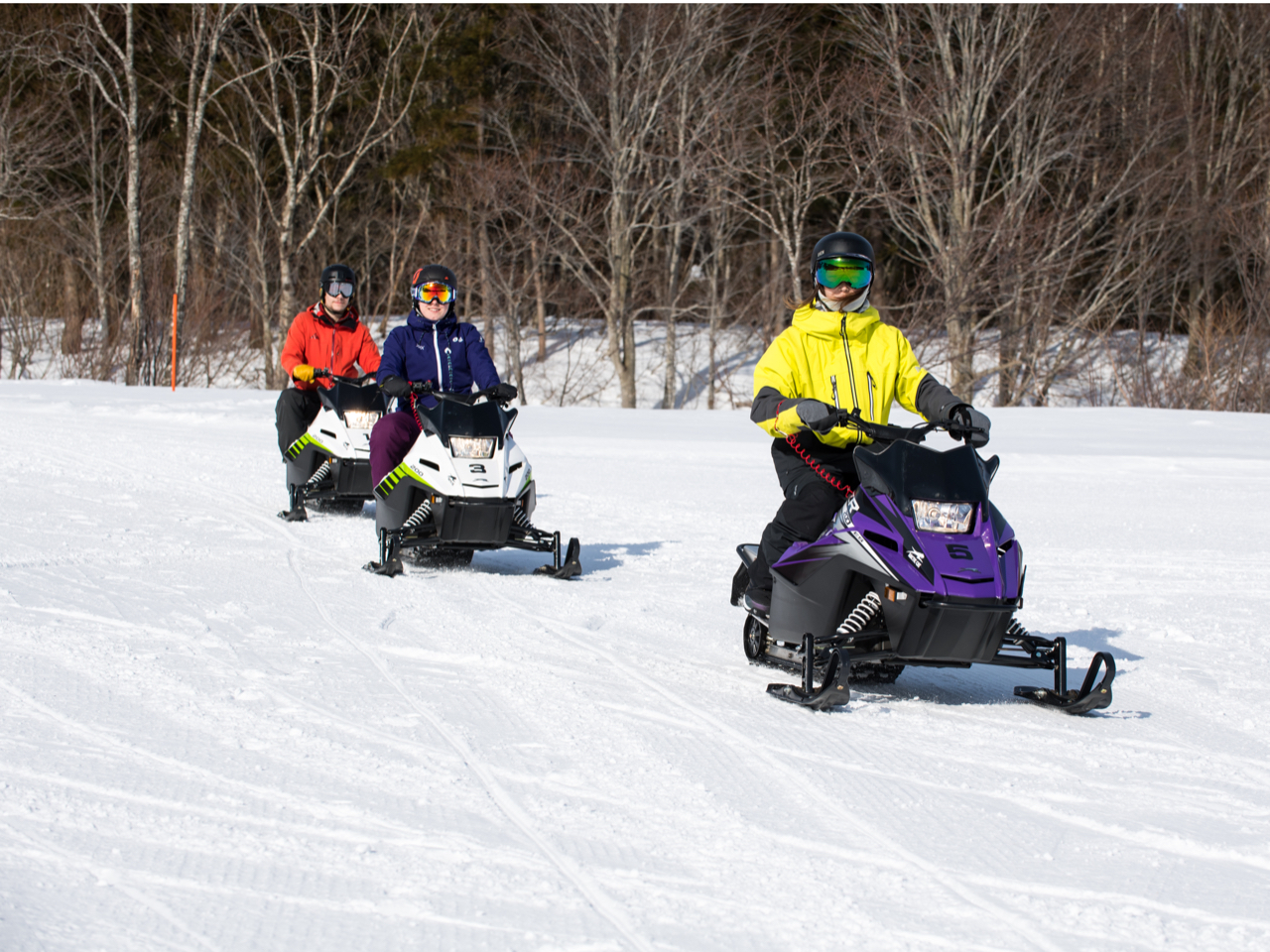 スノーモービル　岩手県　引取希望 岩手・北上】＊ウィンターシーズン限定＊スノーモービルサーキット体験