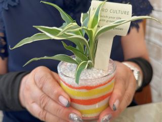 世界にひとつだけのグリーンインテリアづくり!