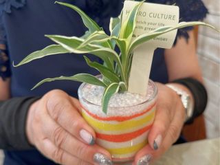 世界にひとつだけ♪