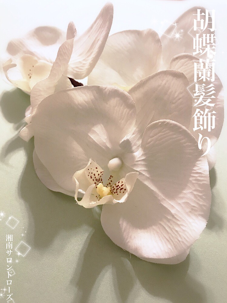 胡蝶蘭は別格の上品さです。