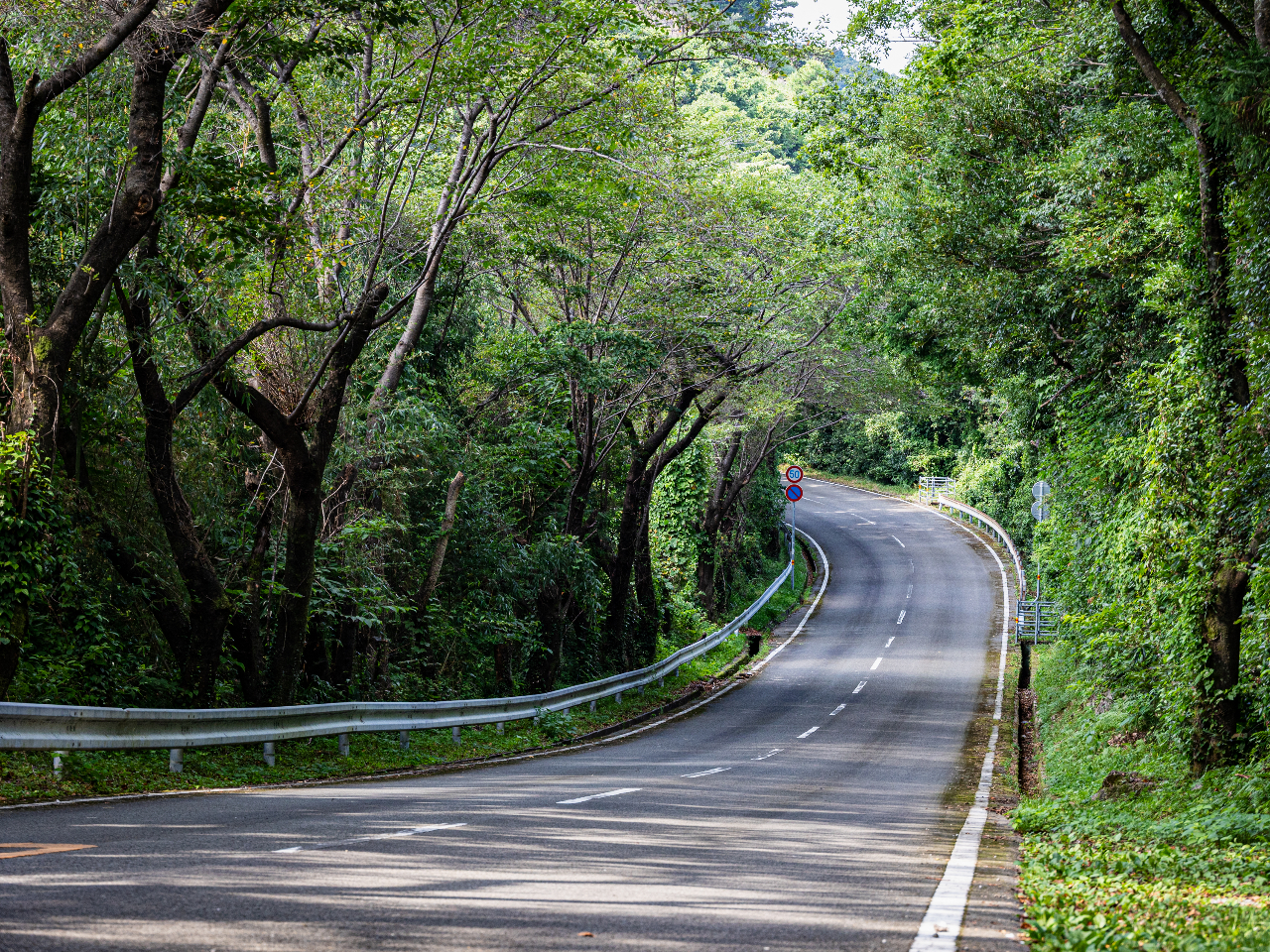 龍河洞スカイライン