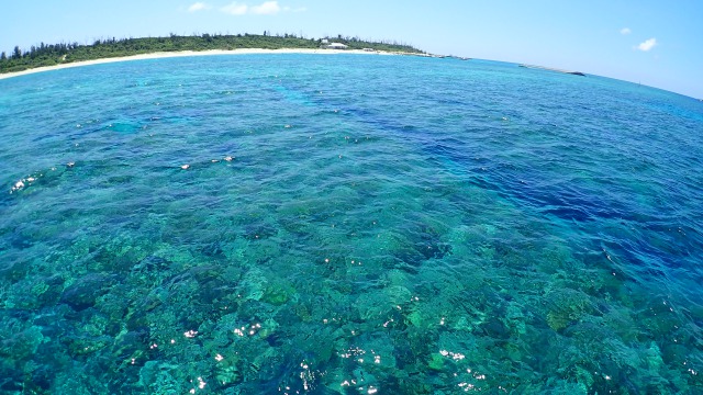 VCǂΑD̏ォ牺܂ŃXPXP