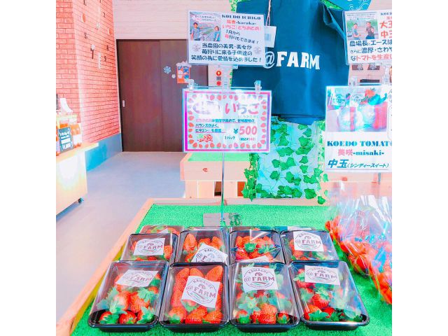 お土産用のいちごも買えます!