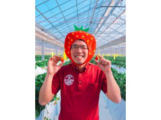 芳醇な香りと濃厚な甘さを閉じ込めた大粒いちごです。