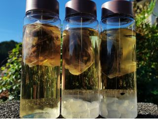 完成品イメージ。この状態でお持ち帰り頂いて、ご自宅で熟成。