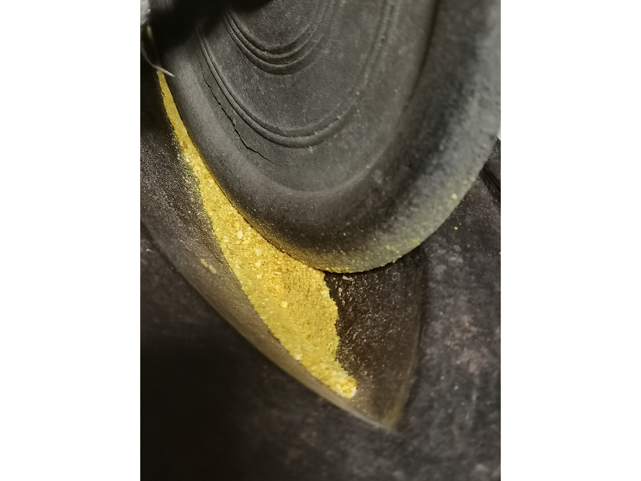 �򌤂͐A�������ނ��ƁA�����ɂ��邱�ƁA��2�p�^�[���g�������̂ł��錻��ɂ͂Ȃ�����ł�