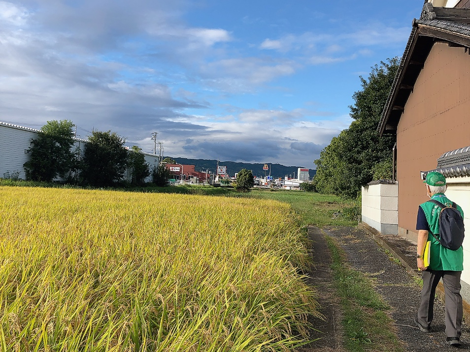 古い町並み・田園風景を楽しみながら町を散策