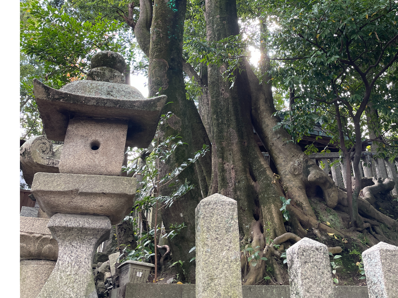 午後からは、古い町並みと歴史が残る河合町の町歩き