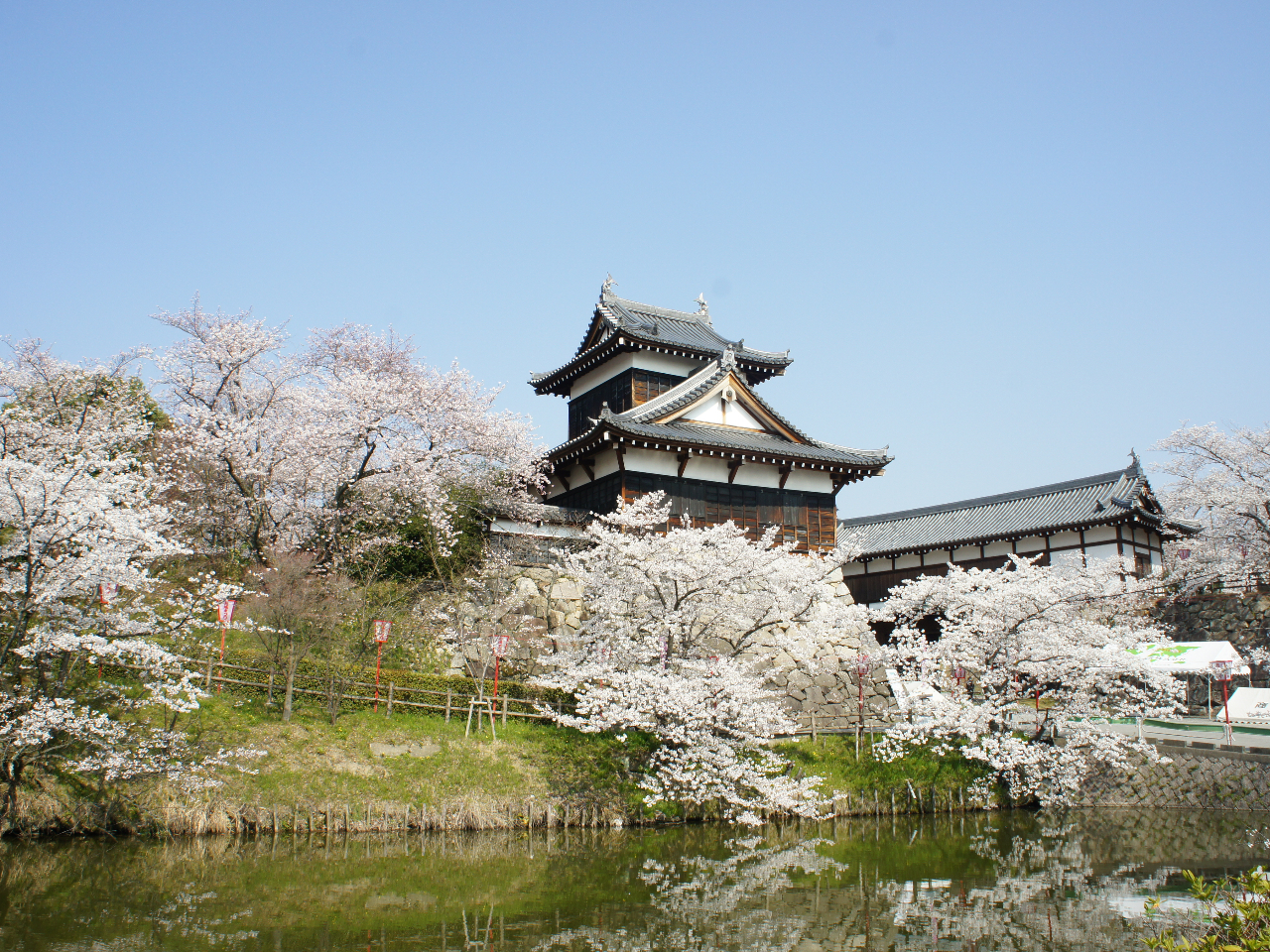 奈良・史跡郡山城跡