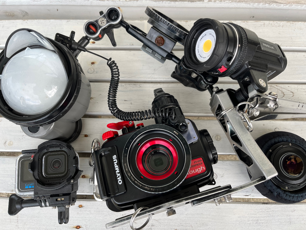 S[vAIpXgĂɃChYdlĎvo̎ʐ^ABĂ܂I񖳗v[gI