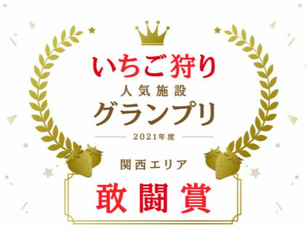 2019E2020NE2021xAł񂢂A[hܒv܂I